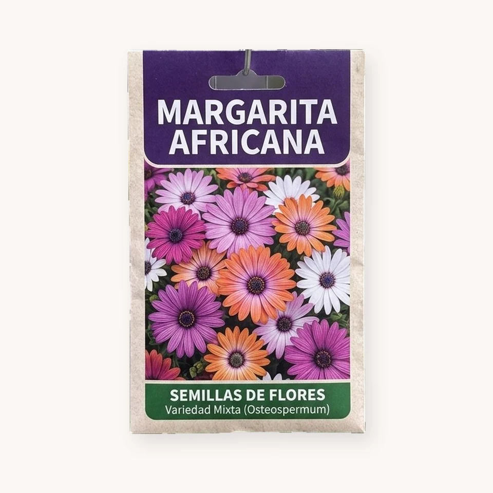 Margarita Africana