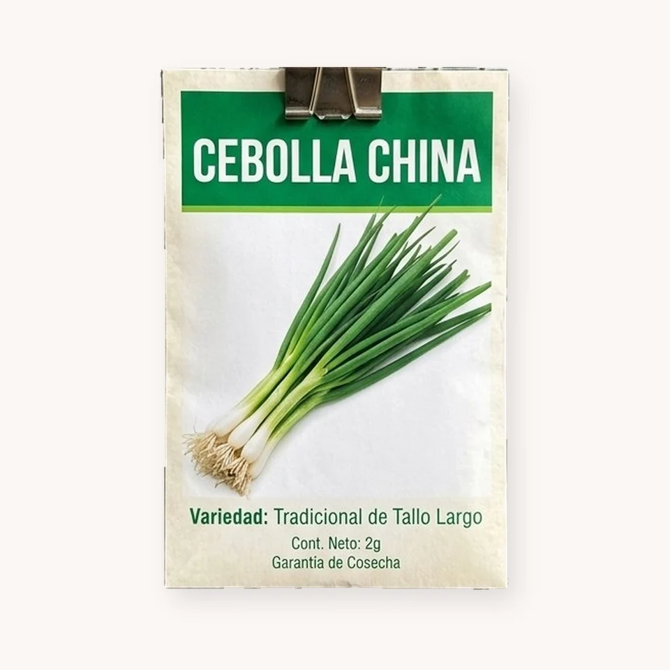 Cebolla China